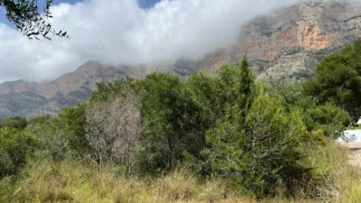 Terreno en venta en La Ermita-Montgó - Vista 5