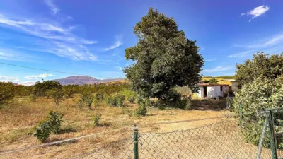 Finca rústica en Álora photo 20