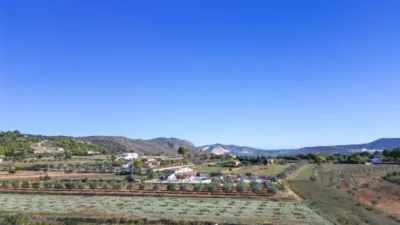 Rustic Finca in Benissa Pueblo photo 5