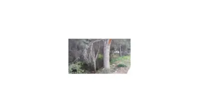 Terreno en venta en los Cerezos-La Mandarina-La Finca-Covatelles - Más