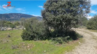Rustic farm in Fontenebro-Altavista photo 12