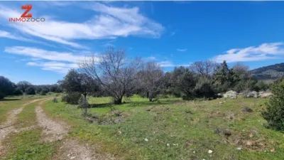 Rustic farm in Fontenebro-Altavista photo 7