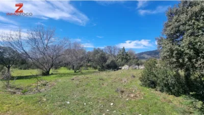 Rustic farm in Fontenebro-Altavista photo 5