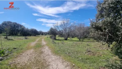 Rustic farm in Fontenebro-Altavista photo 6