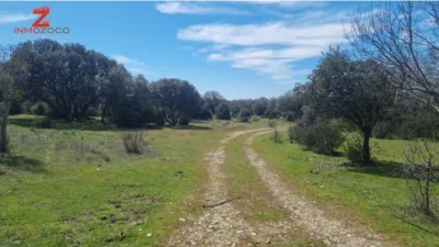 Rustic farm in Fontenebro-Altavista photo 2