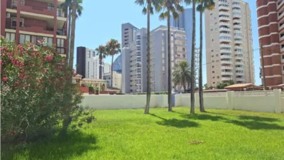 Apartamento en Playa del Arenal Bol-Playa del Cantal Roig photo 17