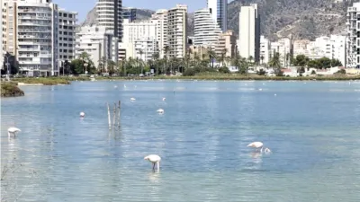 Apartamento en Playa del Arenal Bol-Playa del Cantal Roig photo 16