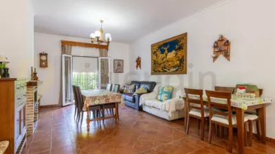 Rustic Finca in Paterna de Rivera photo 9