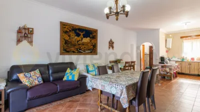 Rustic Finca in Paterna de Rivera photo 3