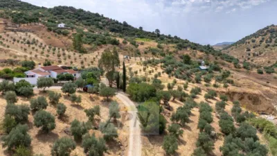 Rustic Finca in Álora photo 37