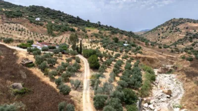 Rustic Finca in Álora photo 38