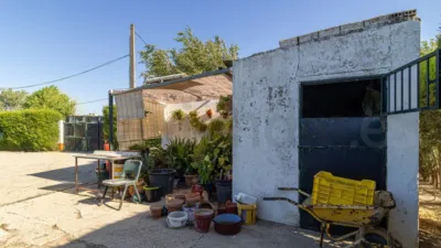Rustic Finca in Paterna de Rivera photo 28