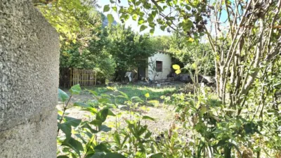 House in Los Altos photo 40