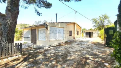 Rustic Finca in Petrer photo 44