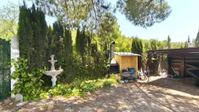 Rustic Finca in Petrer photo 53