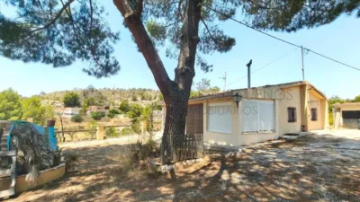 Rustic Finca in Petrer photo 49