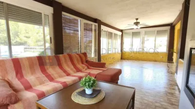 Rustic Finca in Petrer photo 4
