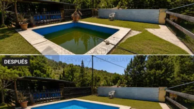 Rustic Finca in Petrer photo 56