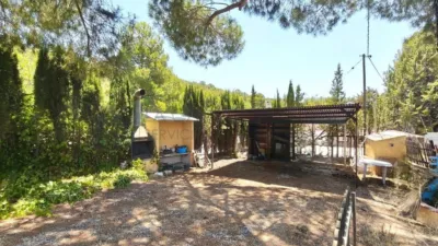 Rustic Finca in Petrer photo 51