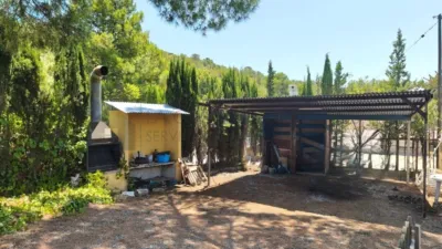 Rustic Finca in Petrer photo 52