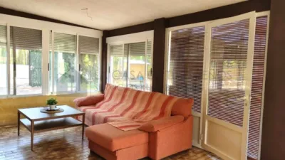 Rustic Finca in Petrer photo 7