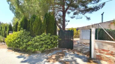 Rustic Finca in Petrer photo 54