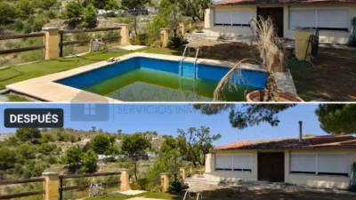 Rustic Finca in Petrer photo 55