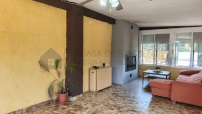 Rustic Finca in Petrer photo 10