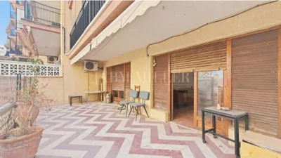 Pis – Elx - Elche - Vista 5