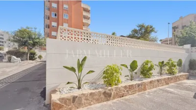 Pis – Elx - Elche - Vista 3