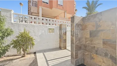 Pis – Elx - Elche - Vista 2