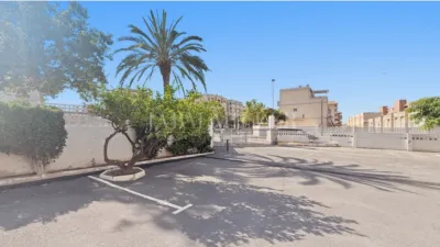 Pis – Elx - Elche - Vista 4
