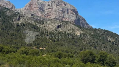 Villa in Barranc Fondo photo 18