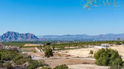 Villa in Algorfa photo 32