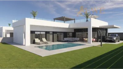 Villa in Algorfa photo 33