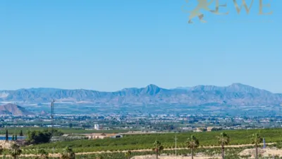 Villa in Algorfa photo 31