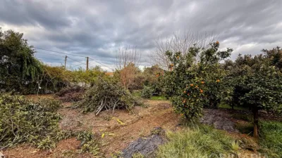 Rustic Finca in Centro photo 5