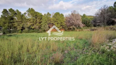 Terreno en venta en los Cerezos-La Mandarina-La Finca-Covatelles - Vista 2