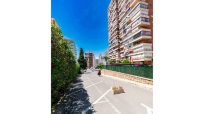 Apartment in Racó de l'Oix photo 15