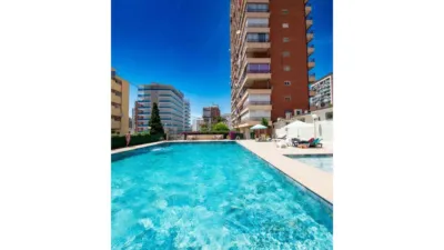 Apartment in Racó de l'Oix photo 13