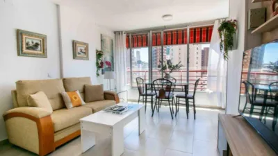 Apartment in Racó de l'Oix photo 5