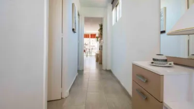 Apartment in Racó de l'Oix photo 14
