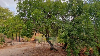 Rustic Finca in Álora photo 33