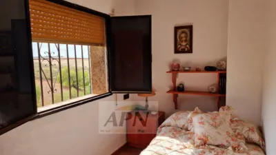 Rustic Finca in Álora photo 22
