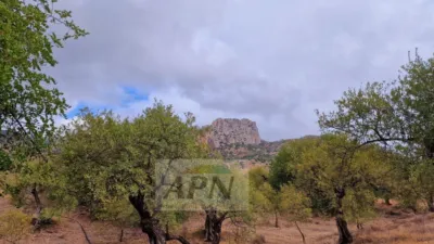 Rustic Finca in Álora photo 35
