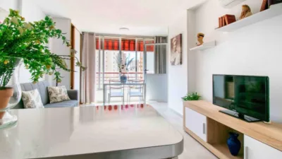 Apartment in Racó de l'Oix photo 6