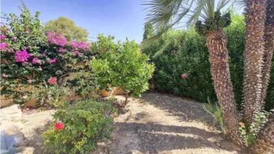 Chalet in L'Albir photo 7