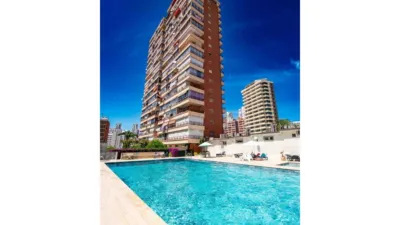 Apartment in Racó de l'Oix photo 17