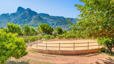 Rustic house in Sóller photo 8