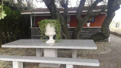 Chalet in Pinar-Punta Galea photo 15